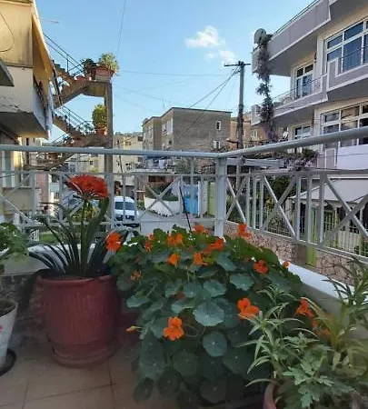 Honey Near Port Of Sarande